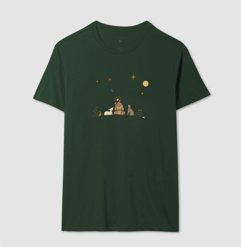 São Francisco e as estrelas - Imagem 10