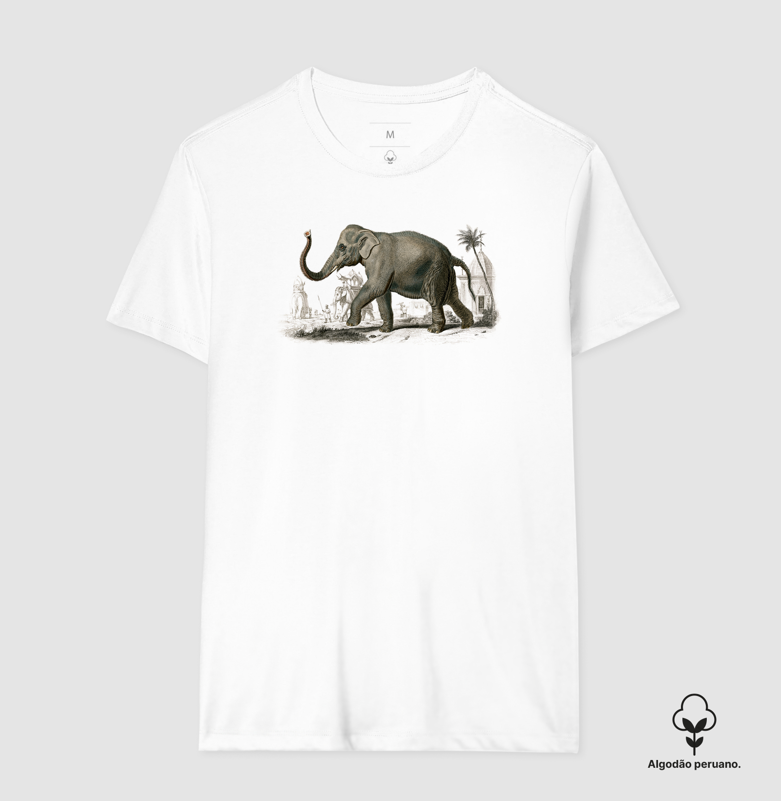 Elefante-asiático - Imagem 2