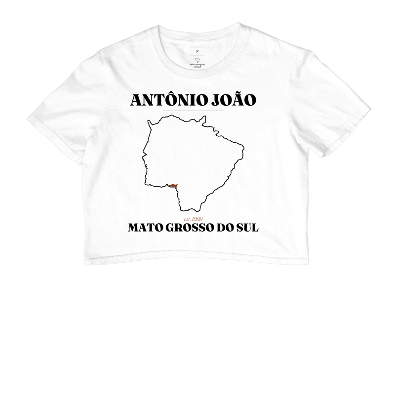 Antônio João | Legado MS - Imagem 3