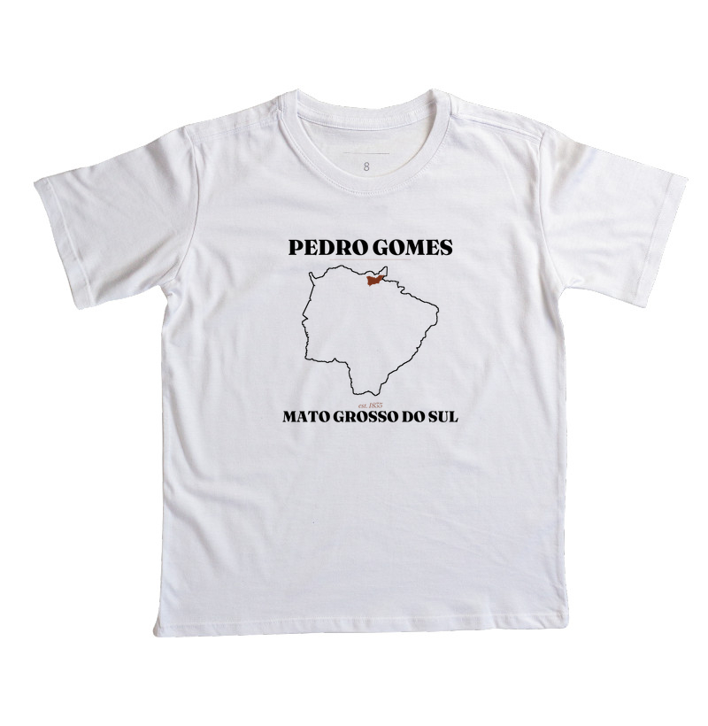 Pedro Gomes | Legado MS - Imagem 2