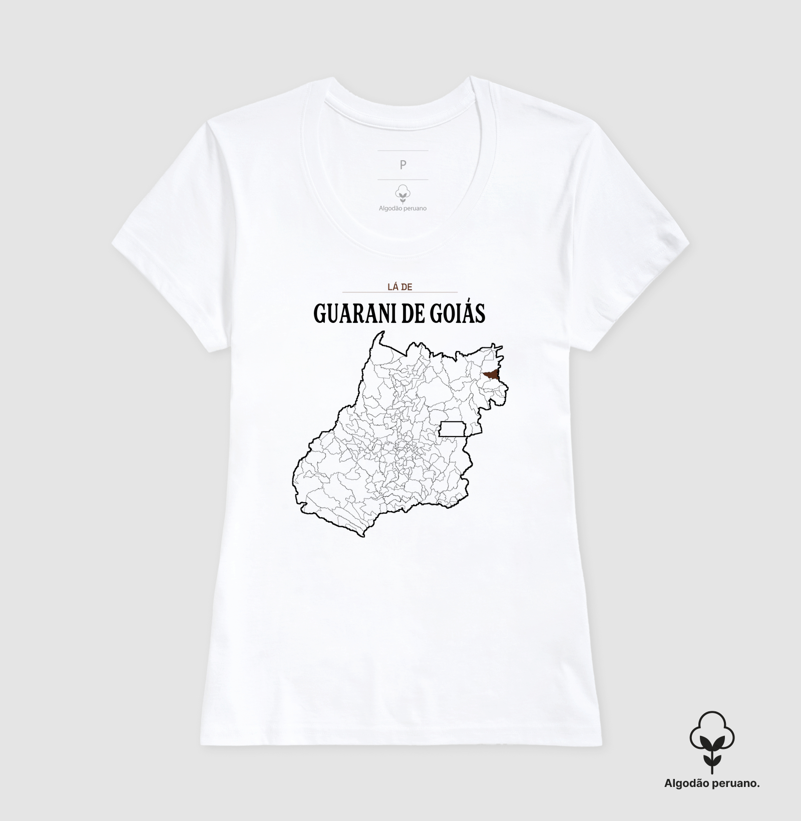 Guarani de Goiás | Território GO - Imagem 2