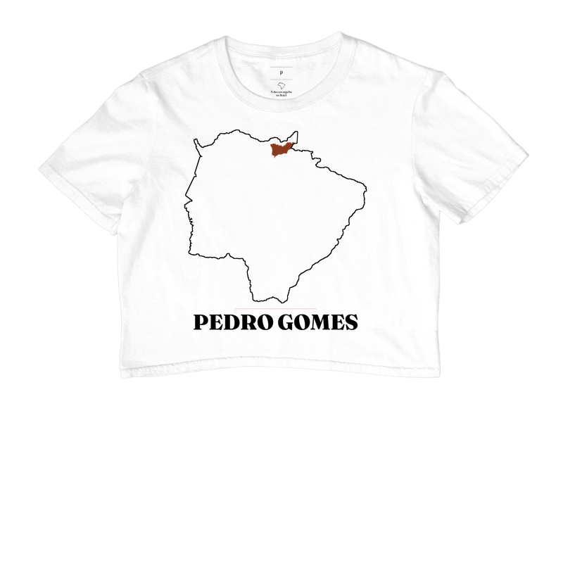 Pedro Gomes | Traço MS - Imagem 3