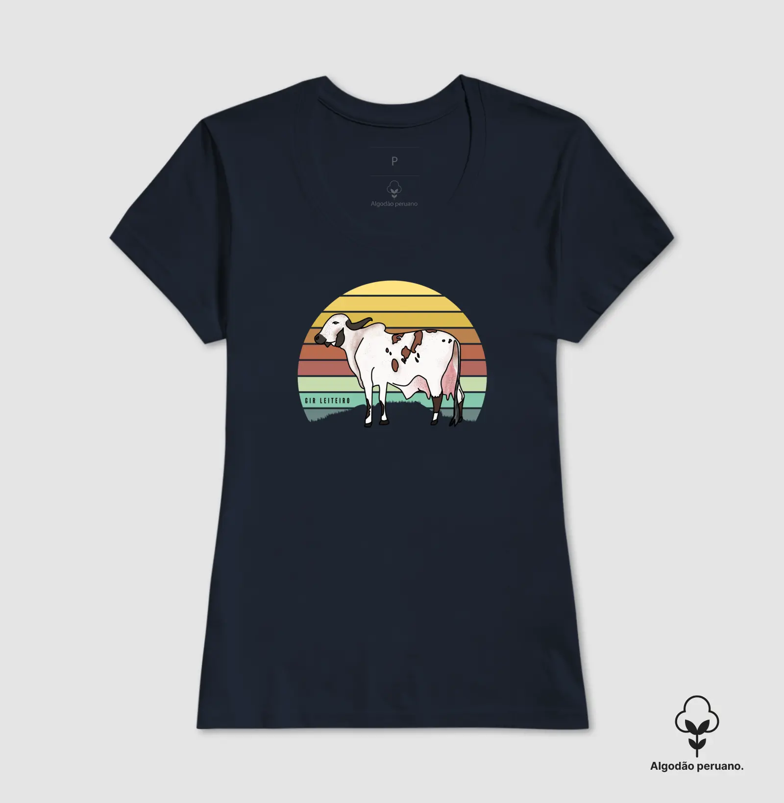 Ilustrado - gir leiteiro - Imagem 5