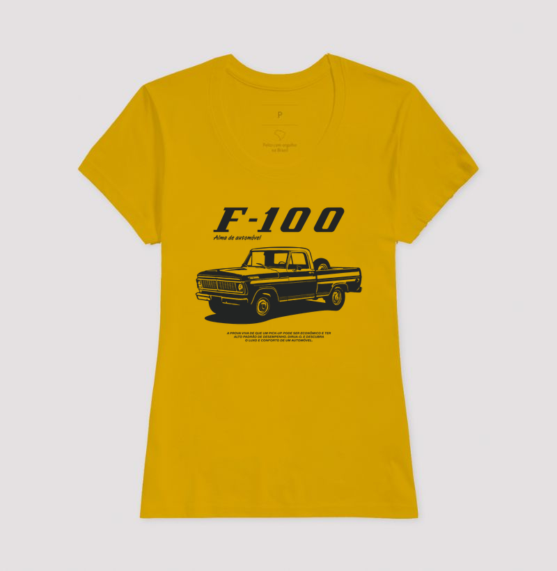 F-100 | Alma de Automóvel - Imagem 18