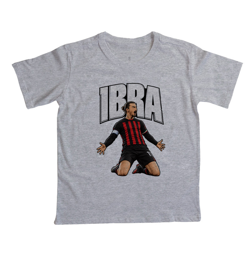 IBRA - Imagem 4