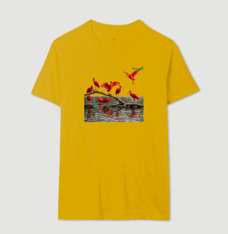 Camisa 13