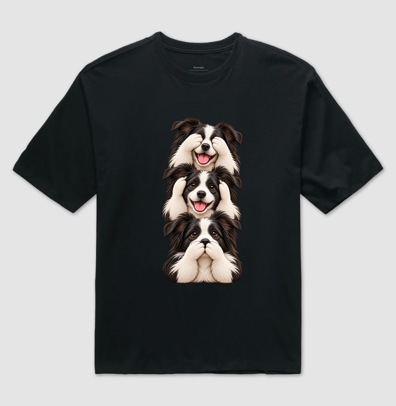 Ver, ouvir e falar Border Collie - Imagem 2