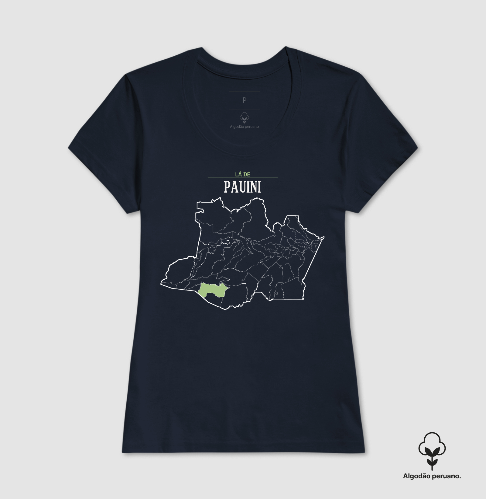 Pauini | Território AM - Imagem 8