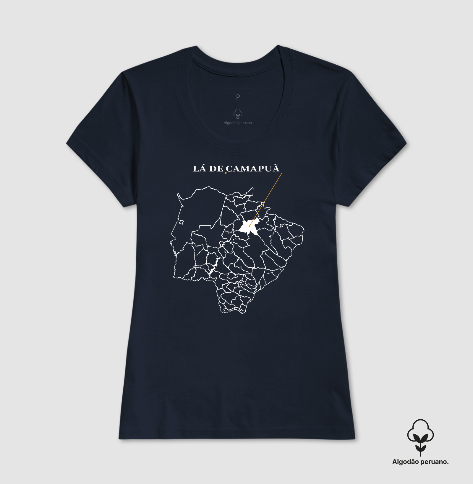 Camapuã | Origem MS - Imagem 8