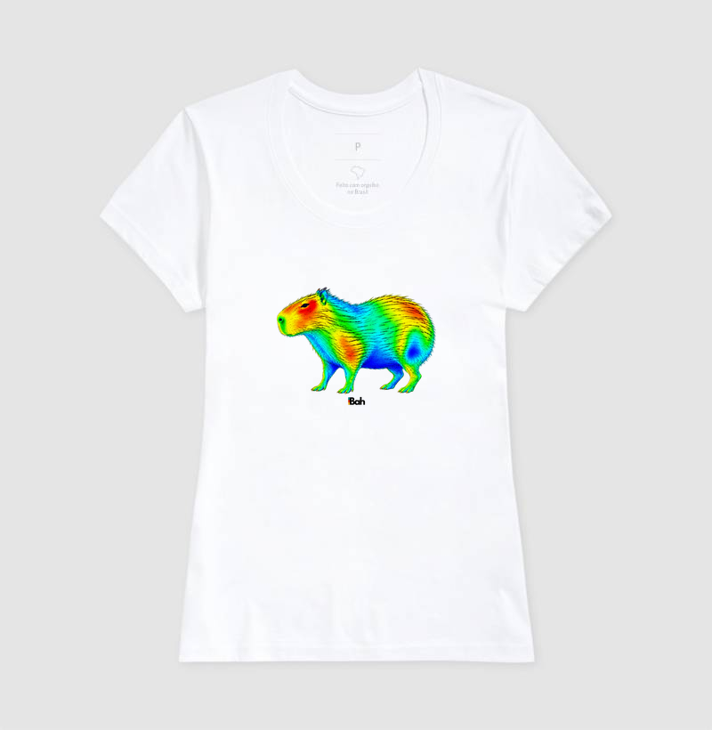 Aerodinâmica de uma Capivara - Imagem 5