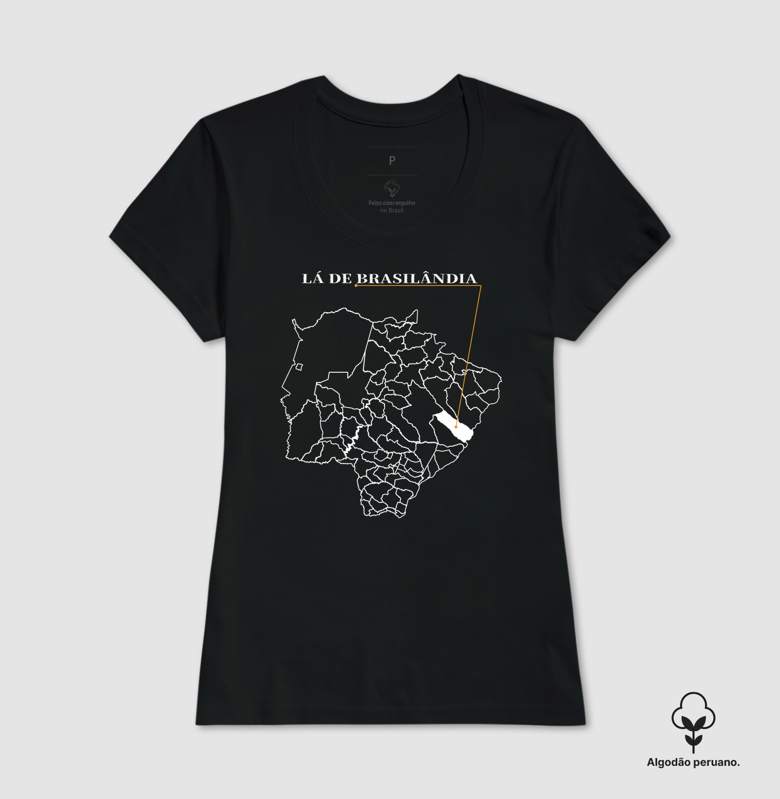 Brasilândia | Origem MS - Imagem 2