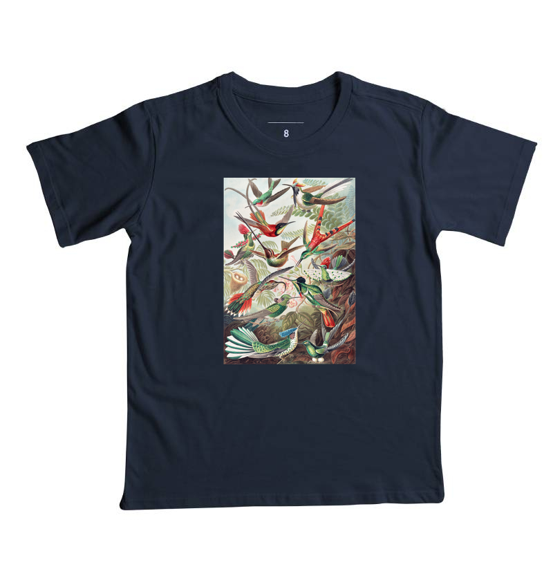 Kolibris - Imagem 5