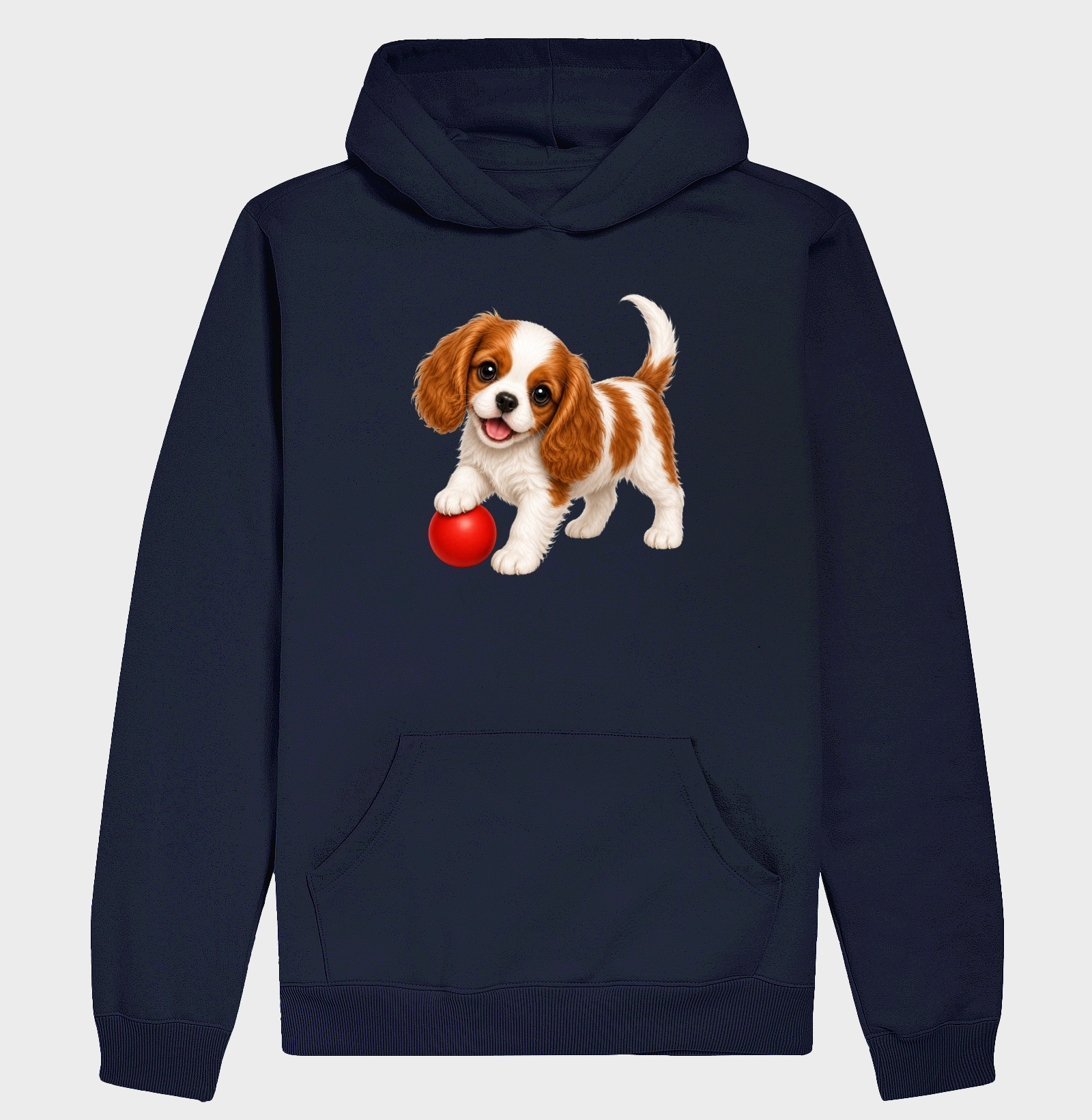 Cavalier King - Desenho Animado - Imagem 4