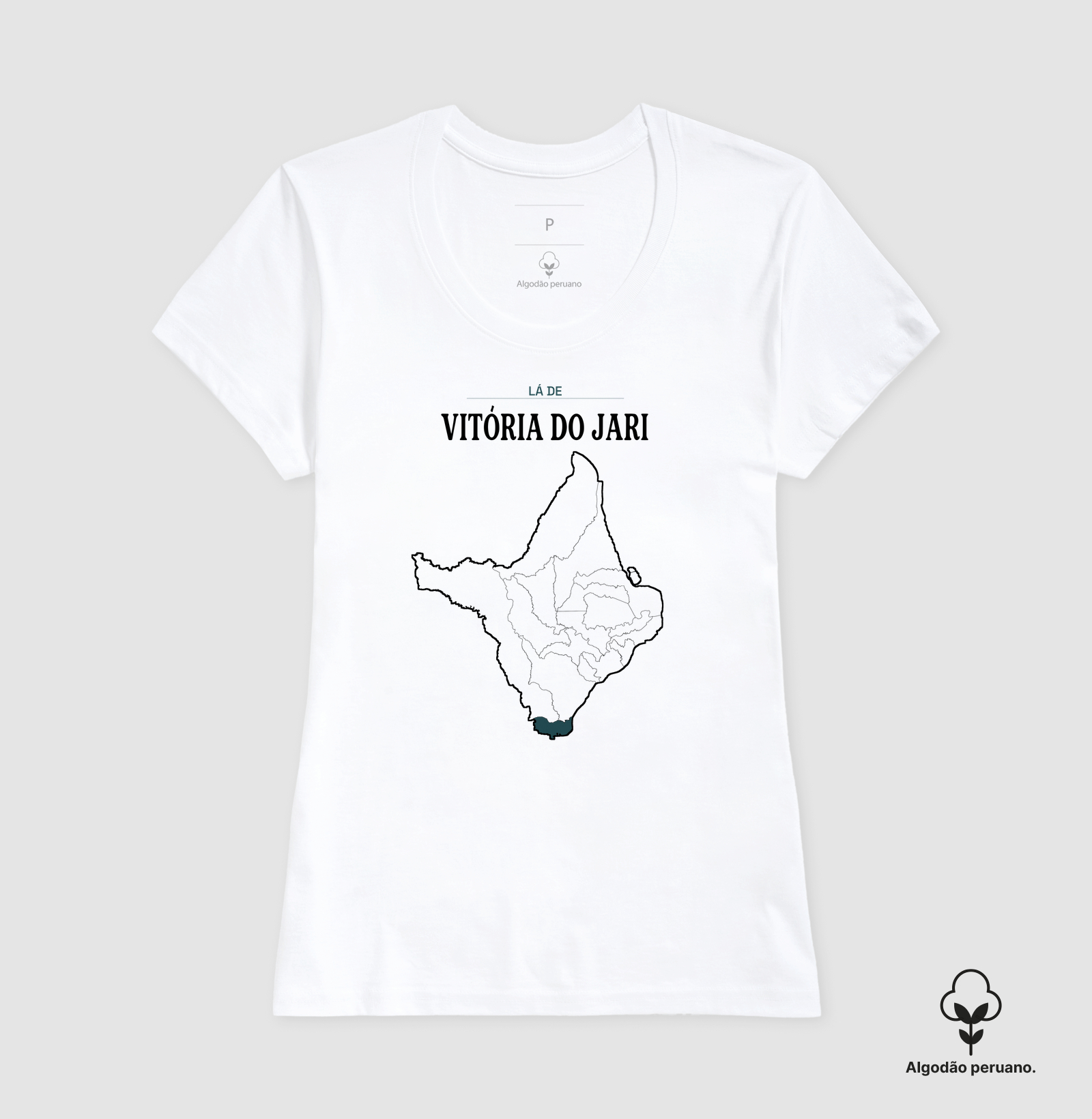 Vitória do Jari | Território AP - Imagem 6