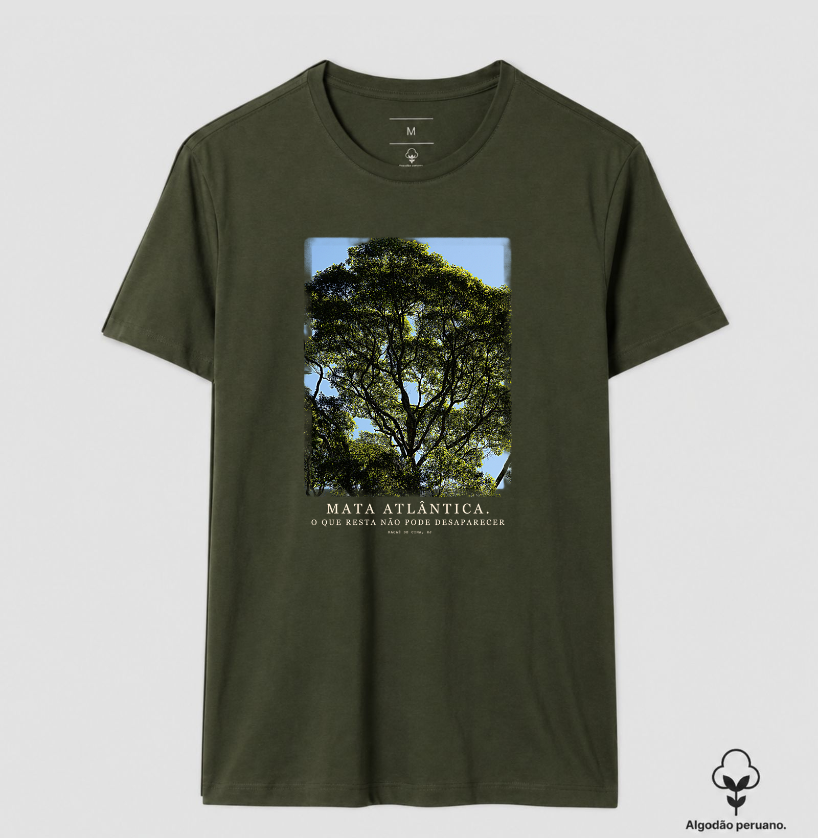 Mata Atlântica - Imagem 3