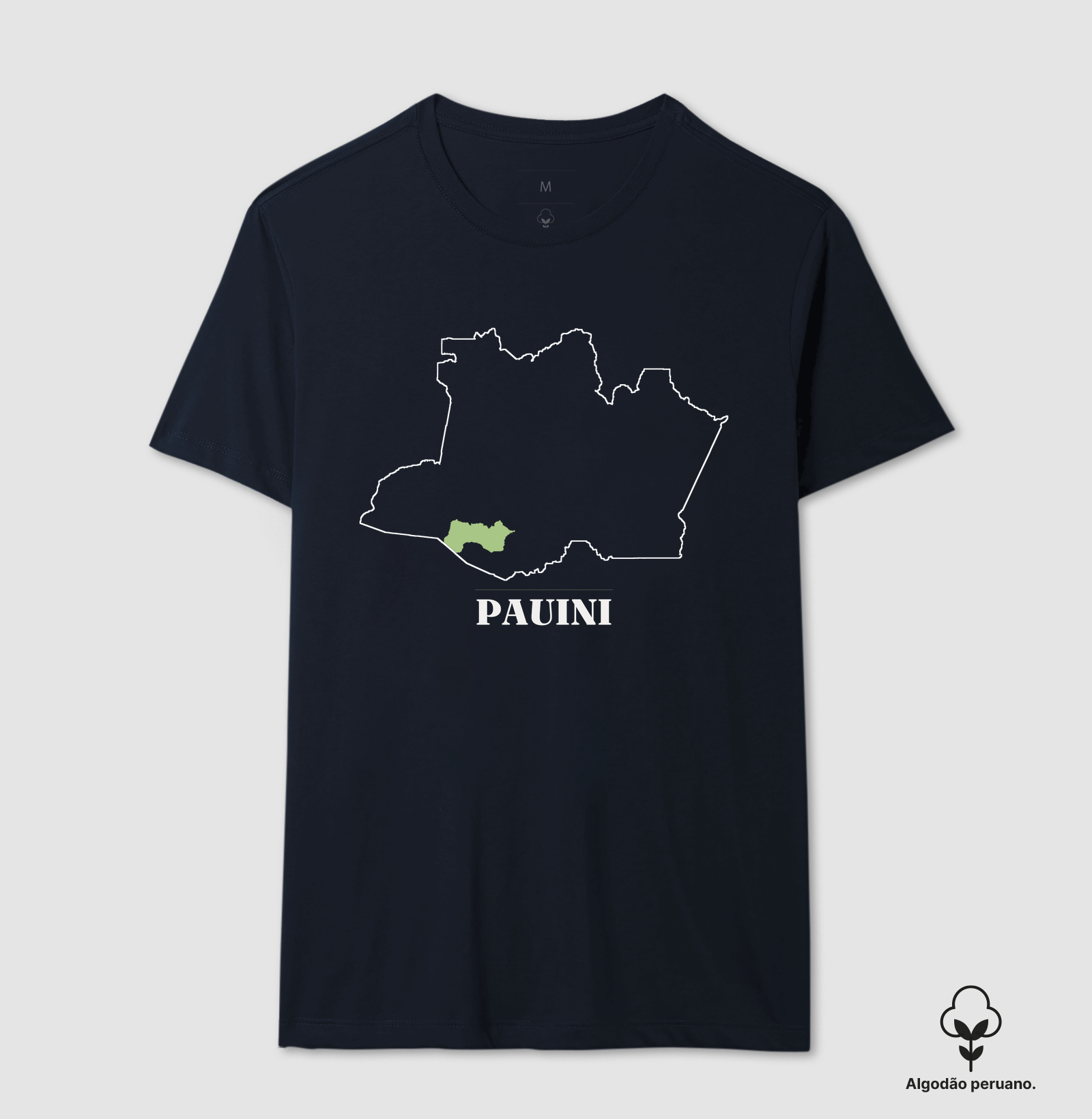 Pauini | Traço AM - Imagem 2