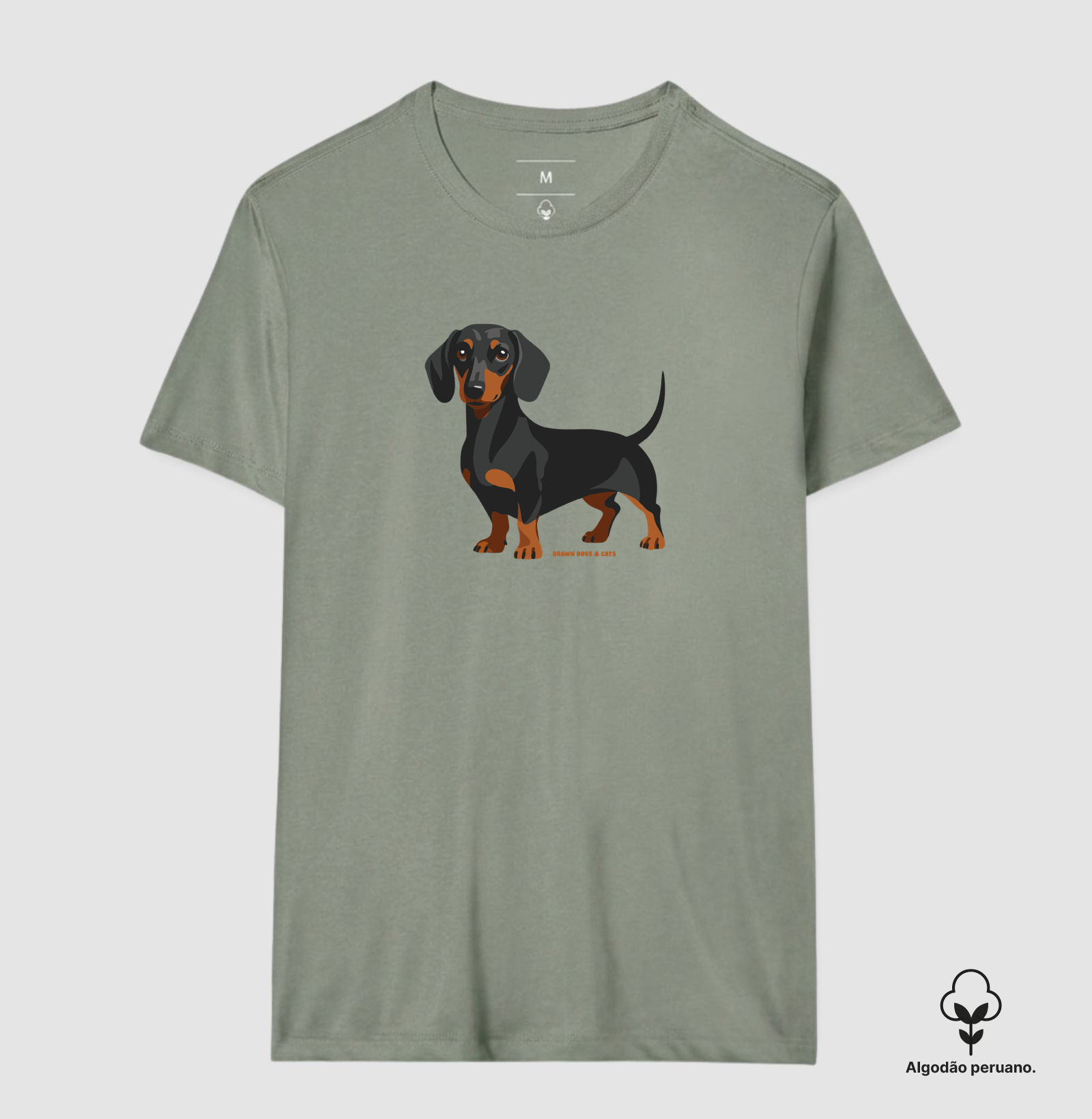 Dachshund - Imagem 5