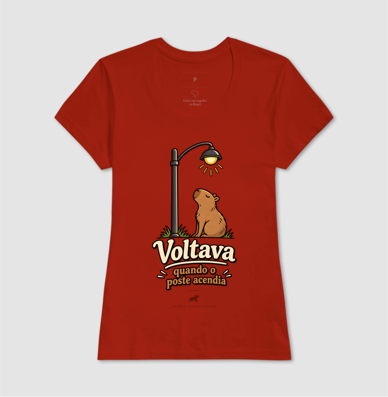 VOLTAVA QUANDO O POSTE ACENDIA - Imagem 13