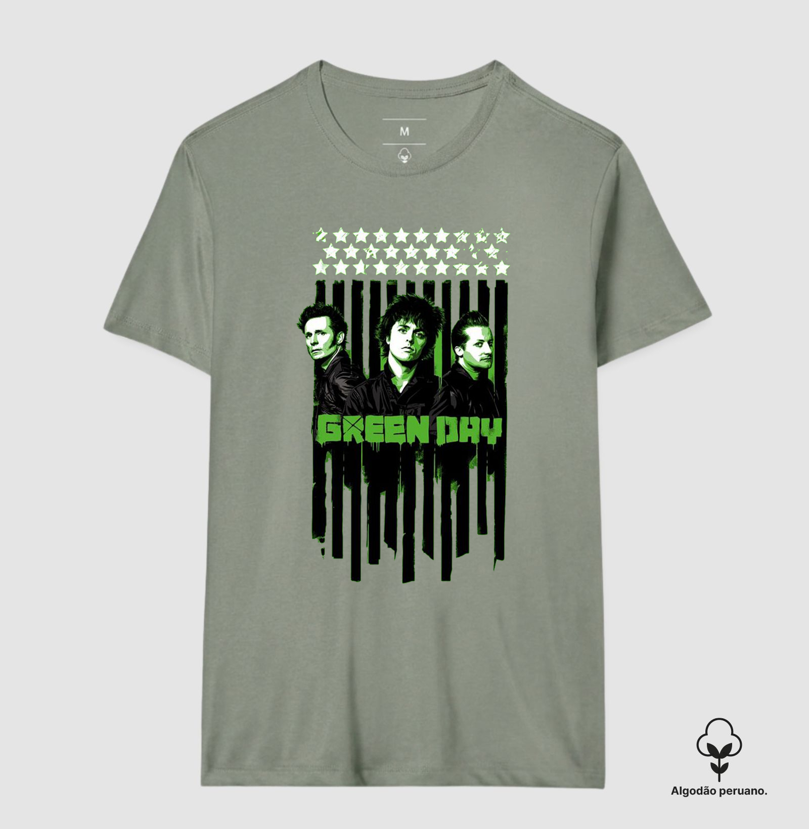 Green Day - Integrantes - Imagem 8