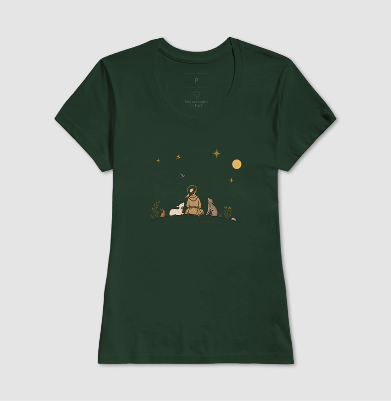 São Francisco e as estrelas - Imagem 11