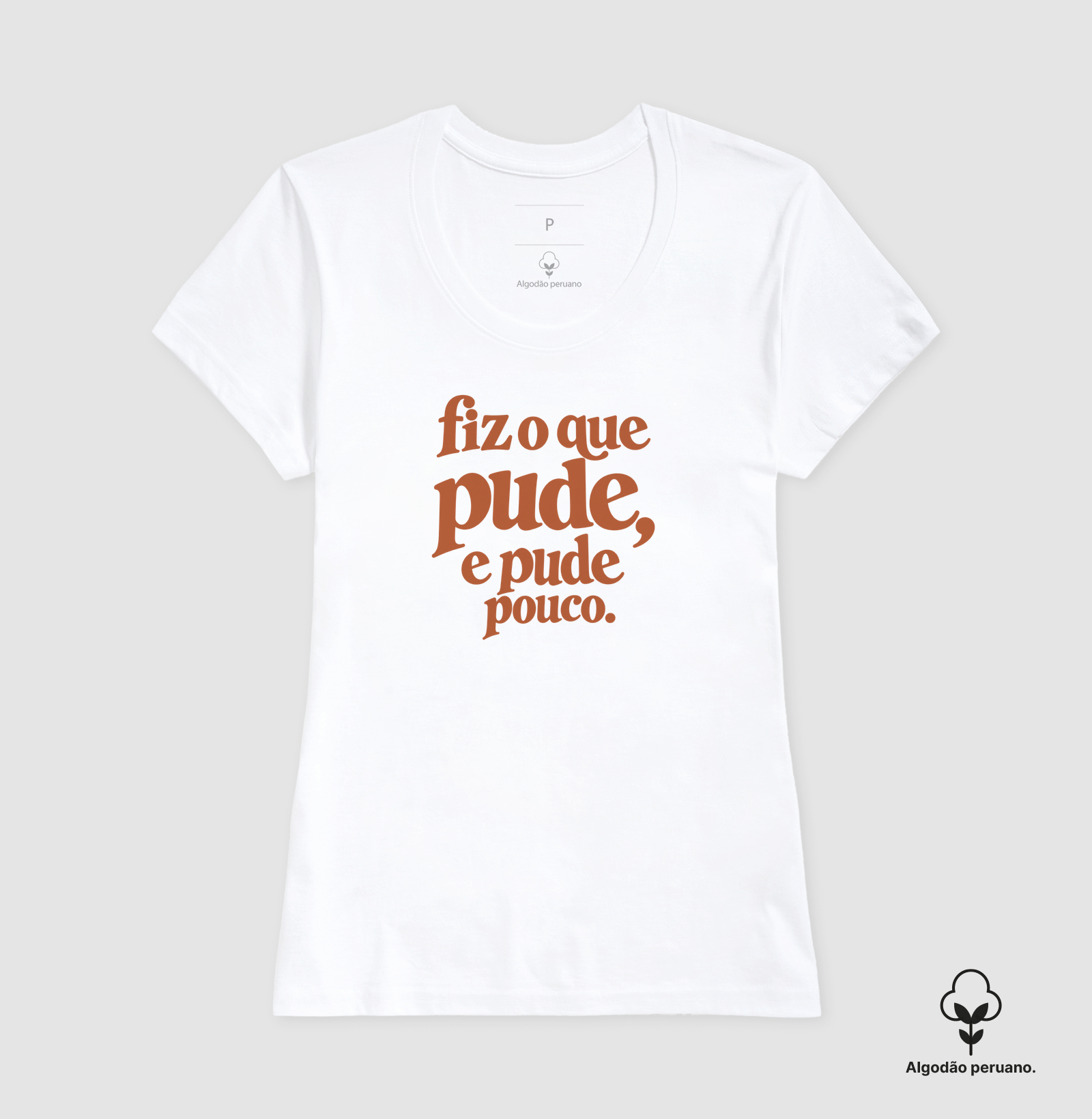Fiz o que pude, e pude pouco. - Imagem 8