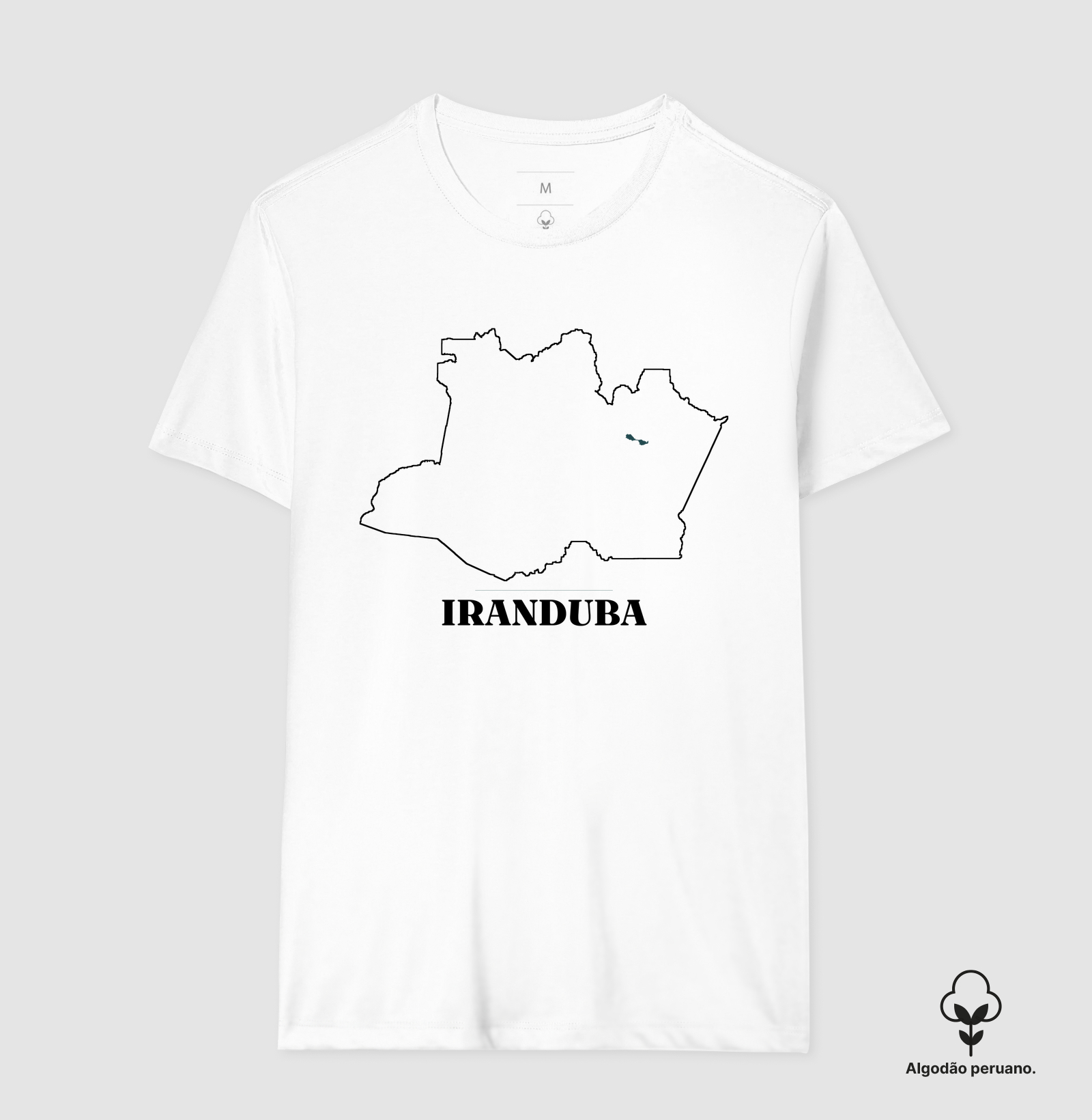 Iranduba | Traço AM - Imagem 2