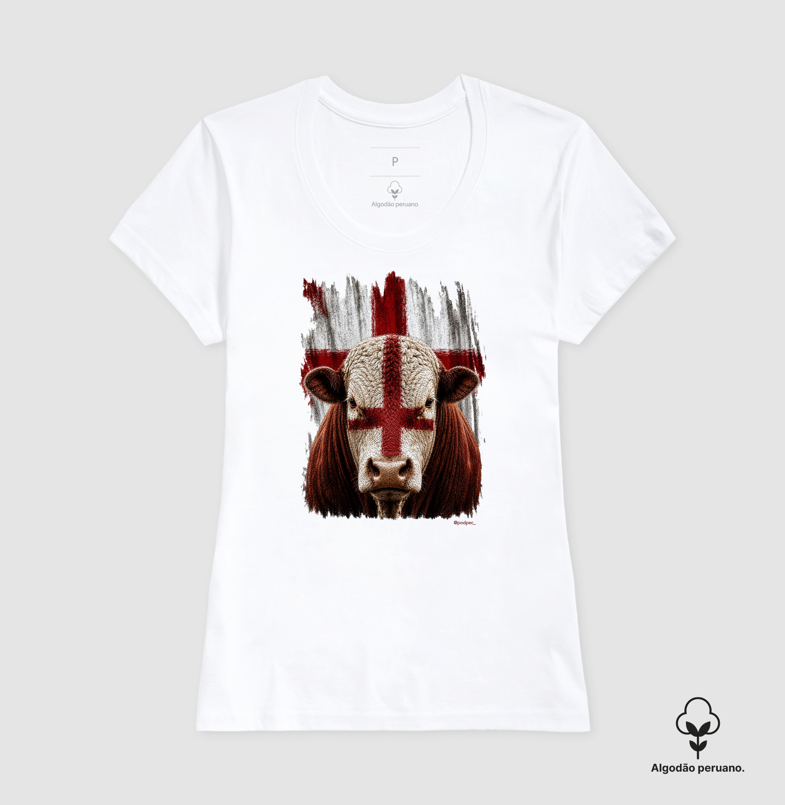 Hereford da Inglaterra - Imagem 5