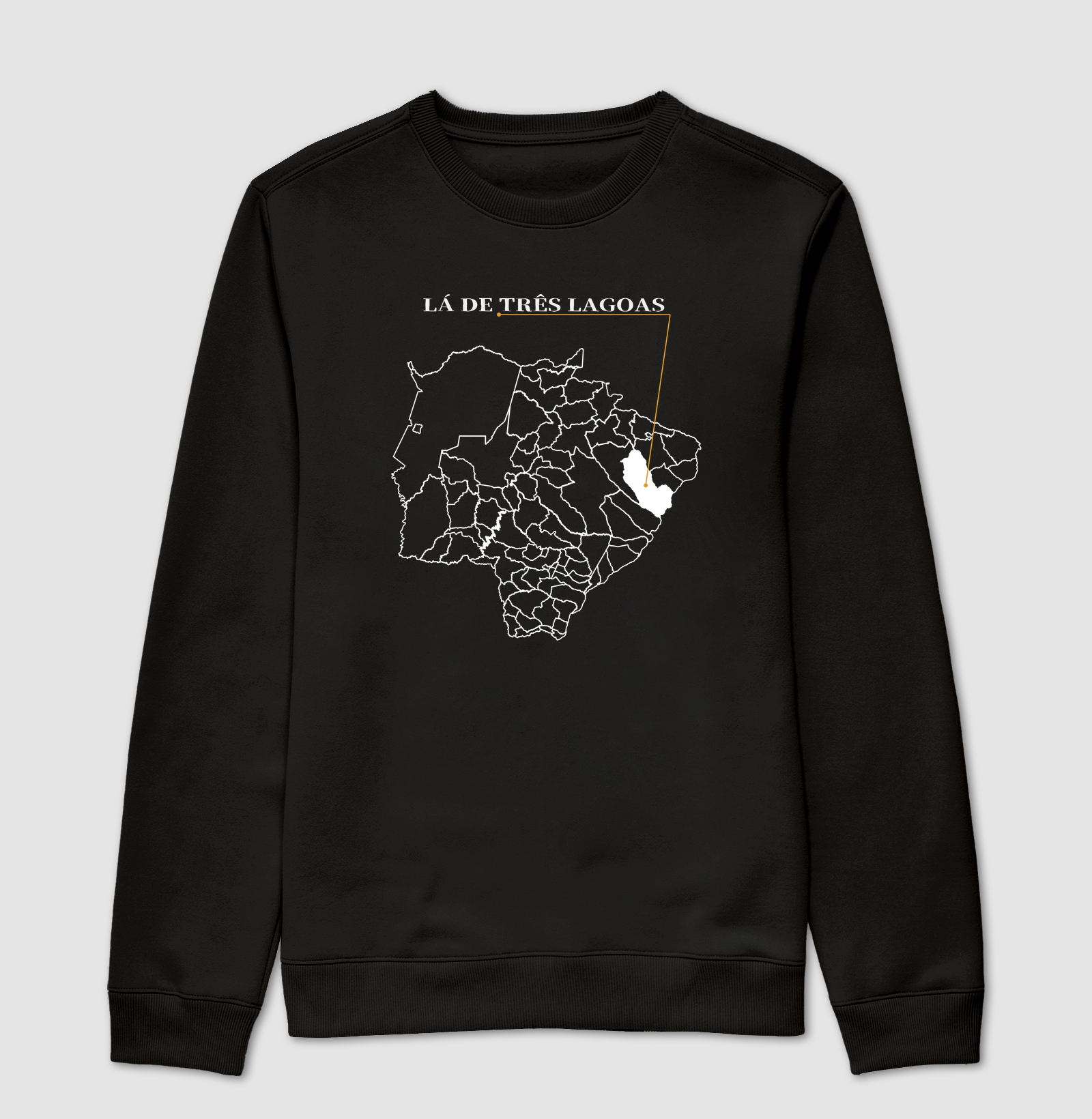 Três Lagoas | Origem MS - Imagem 4