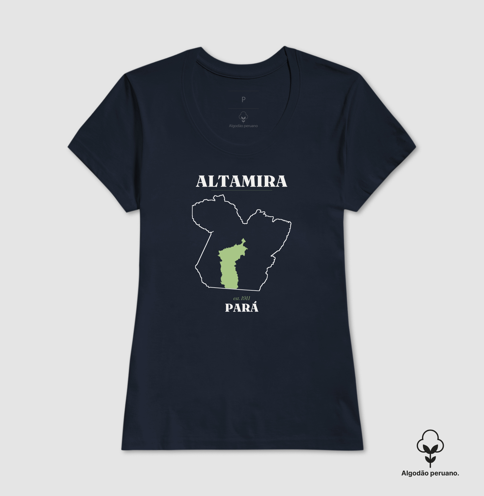 Altamira | Legado PA - Imagem 3