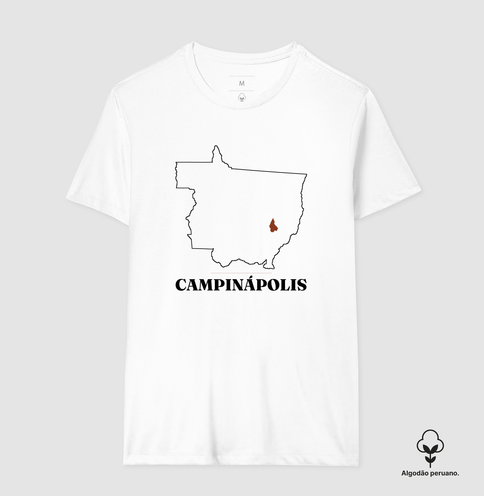Campinápolis | Traço MT - Imagem 8