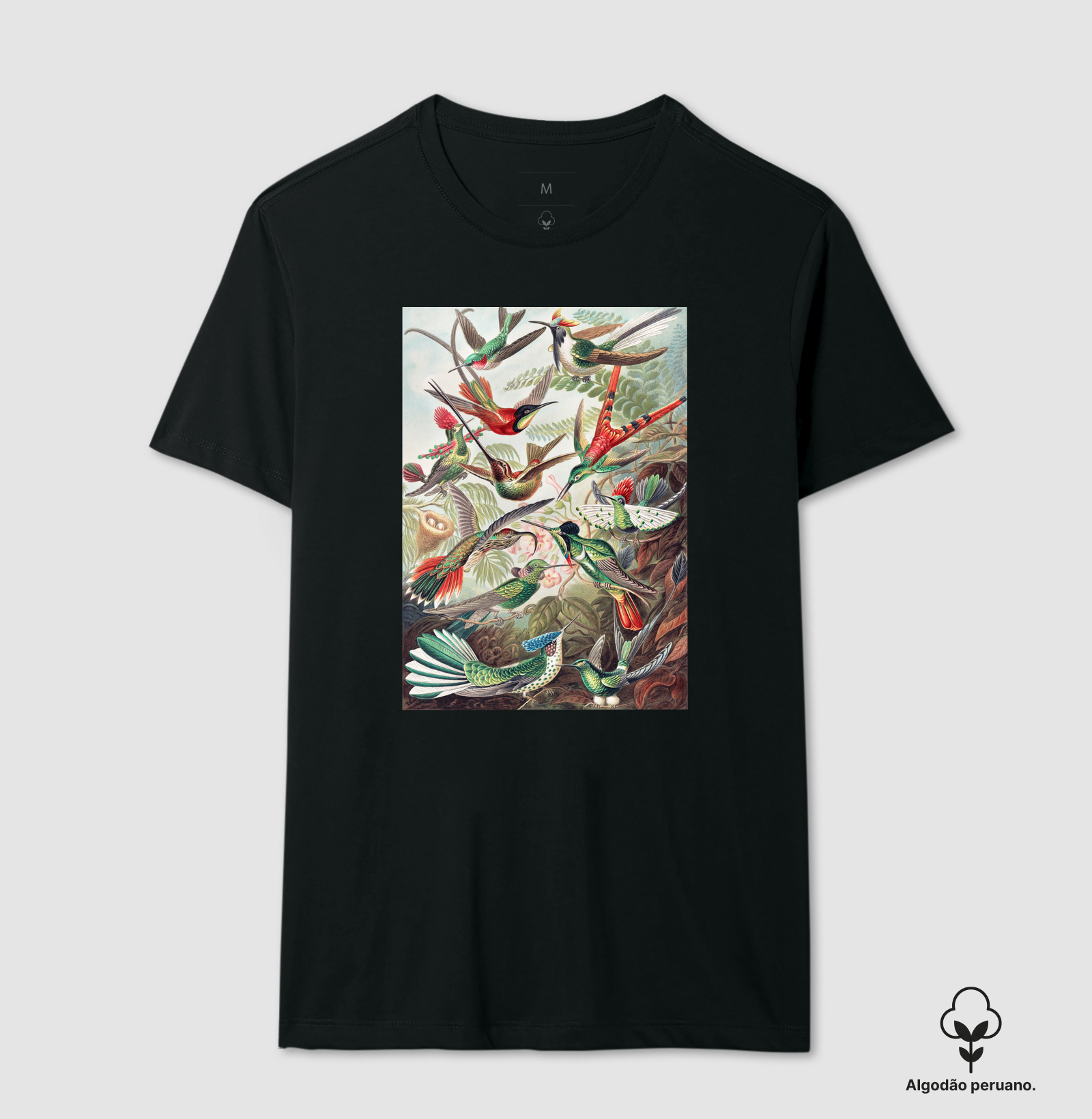Kolibris - Imagem 5