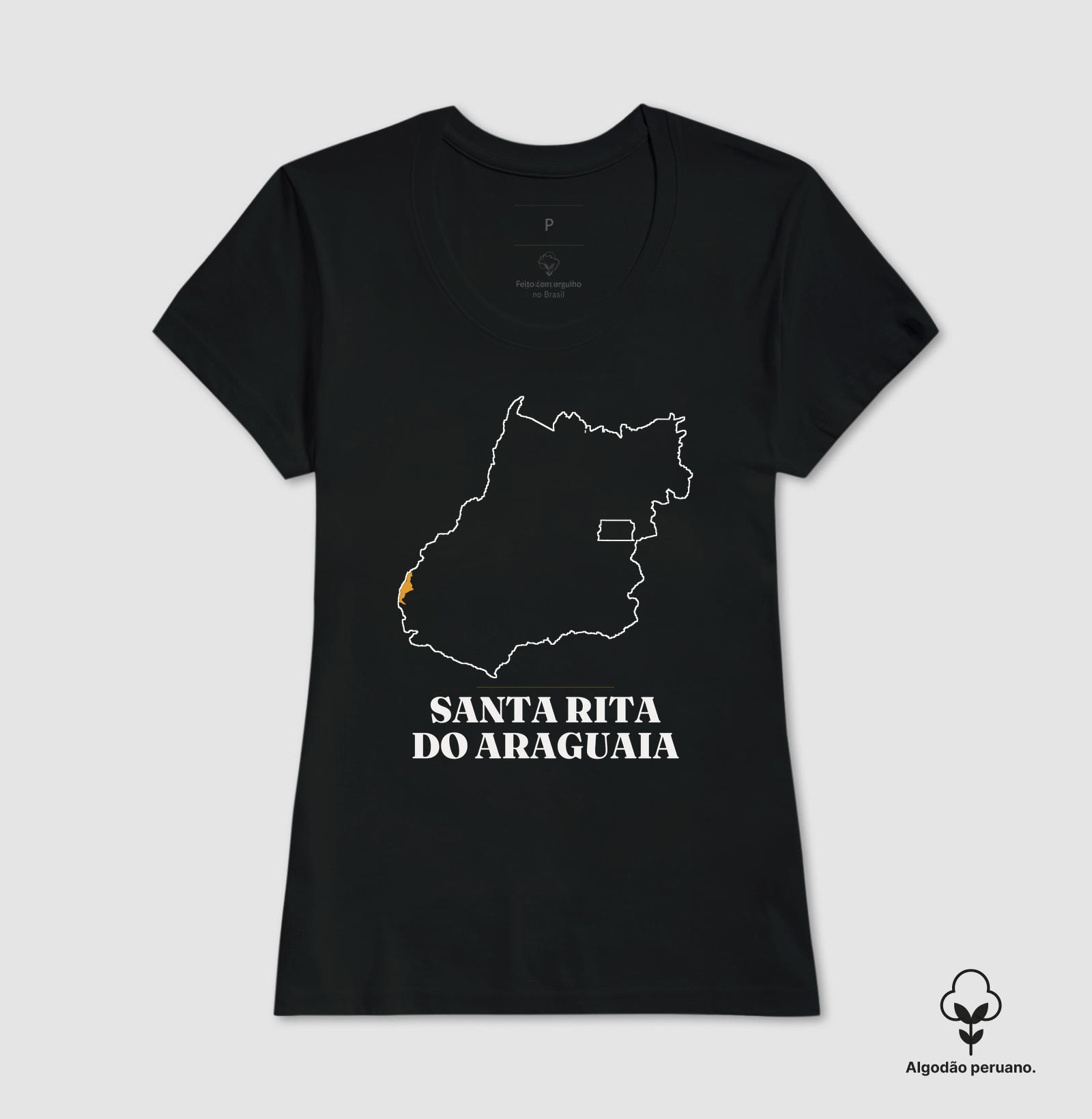 Santa Rita do Araguaia | Traço GO - Imagem 5
