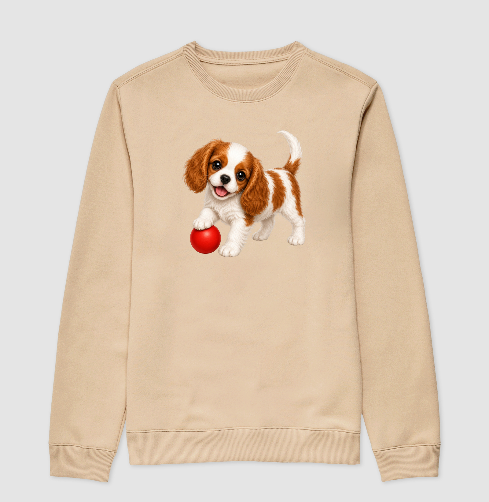 Cavalier King - Desenho Animado - Imagem 3