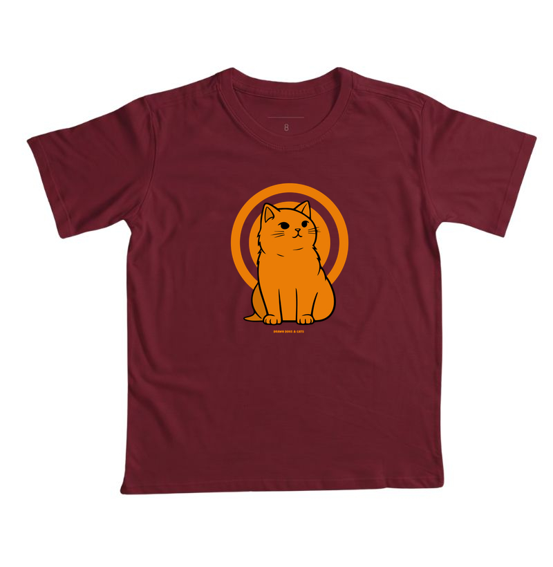 Gato laranja - Imagem 6