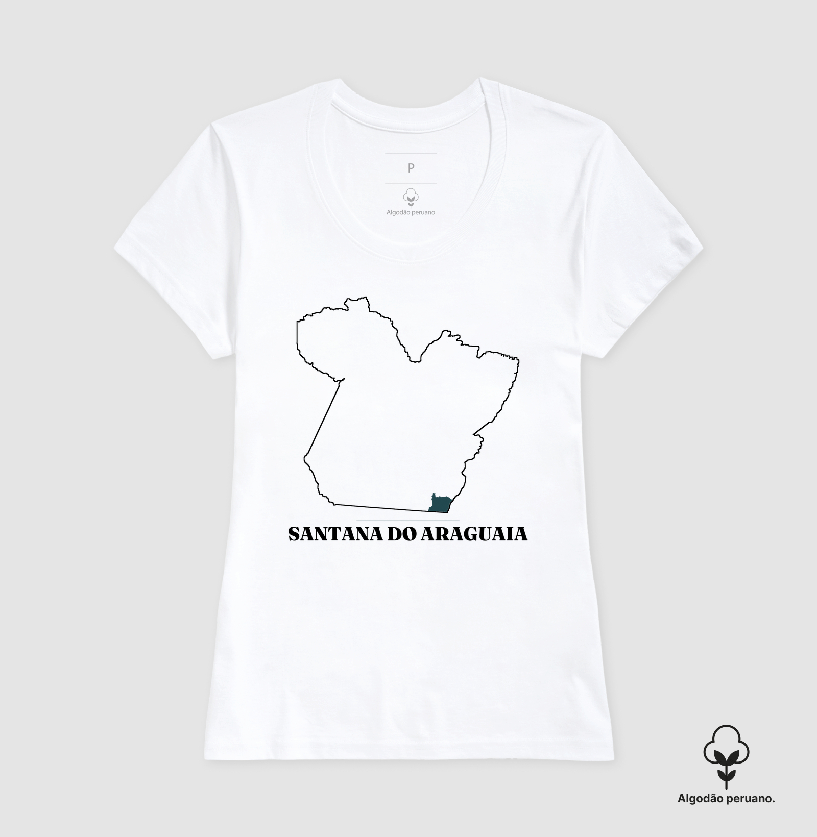 Santana do Araguaia | Traço PA - Imagem 5