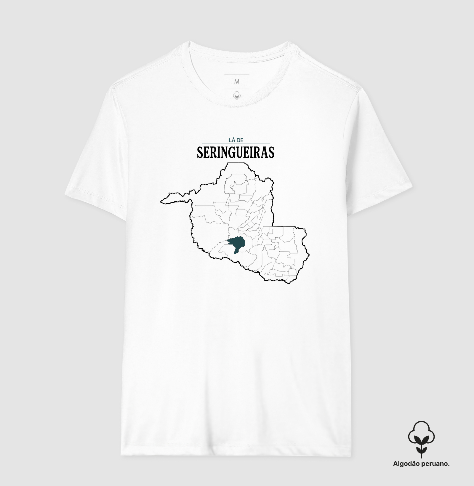 Seringueiras | Território RO - Imagem 2