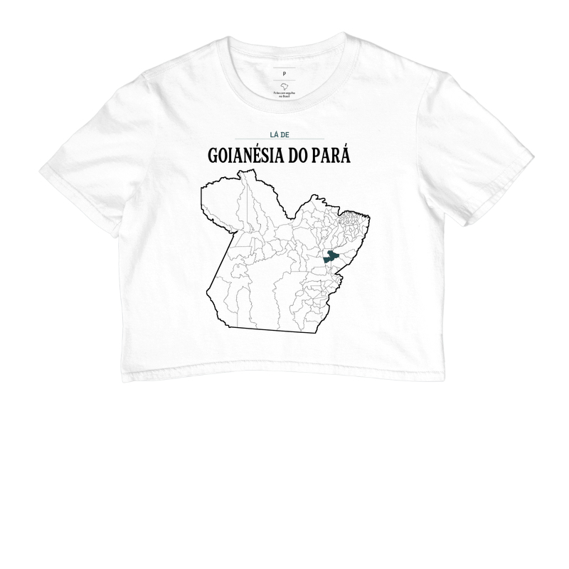 Goianésia do Pará | Território PA - Imagem 3