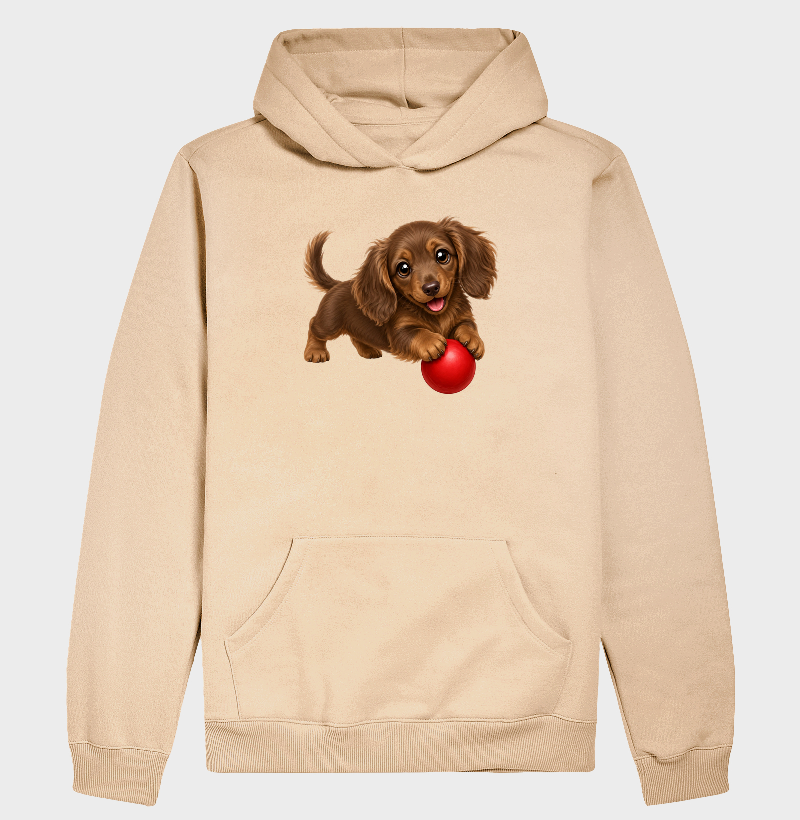 Dachshund Pelo Longo Marrom - Desenho Animado - Imagem 5