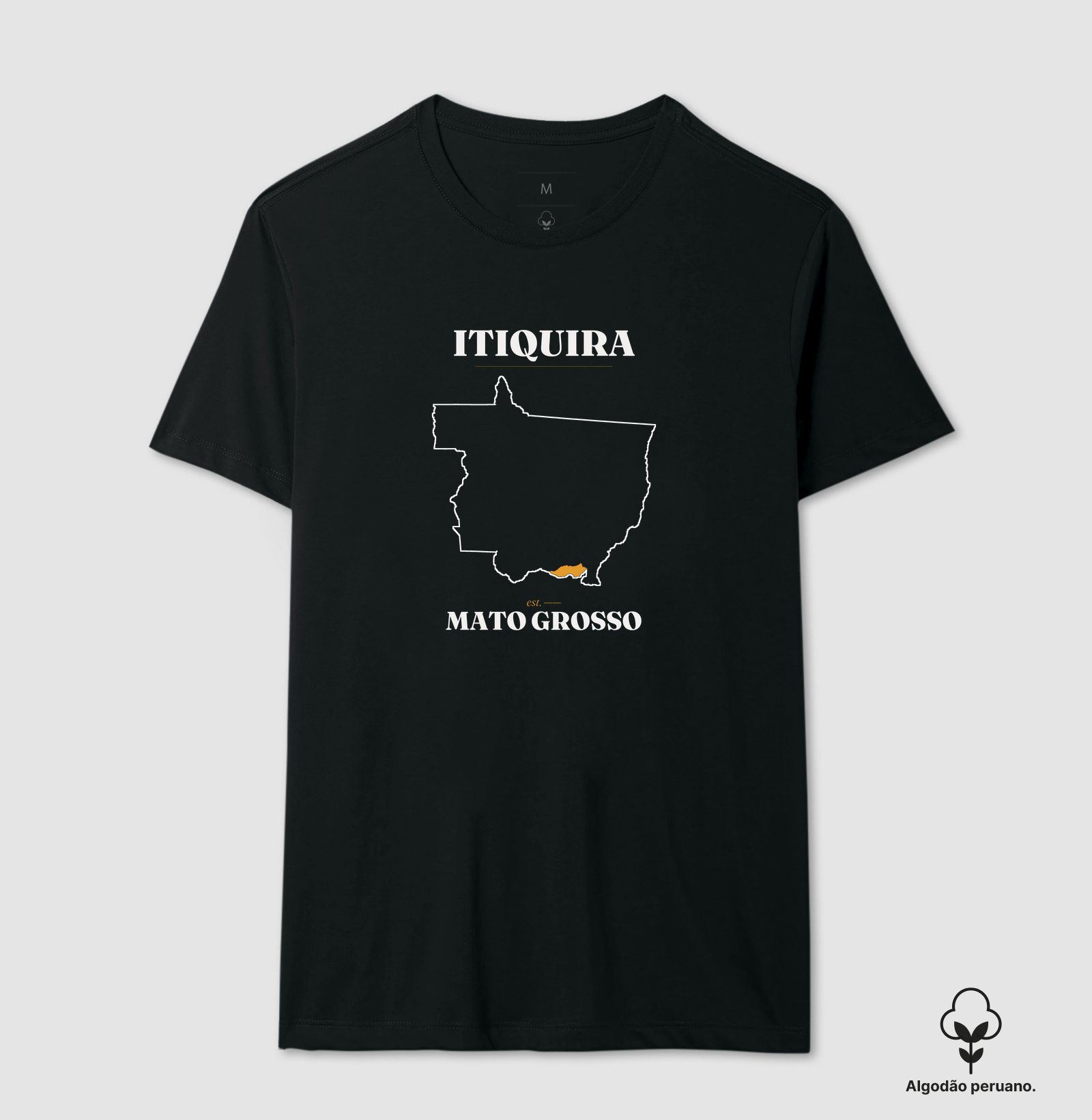 Itiquira | Legado MT - Imagem 4