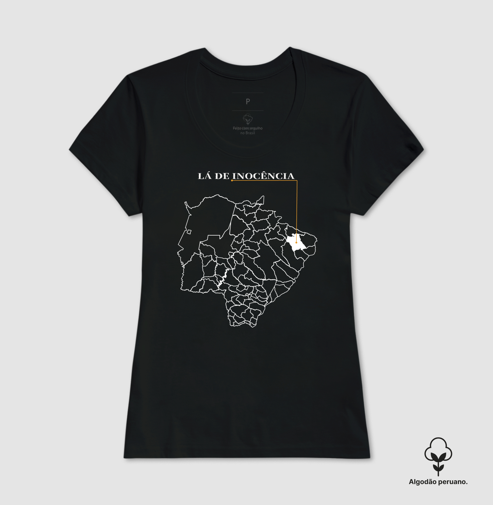 Inocência | Origem MS - Imagem 5