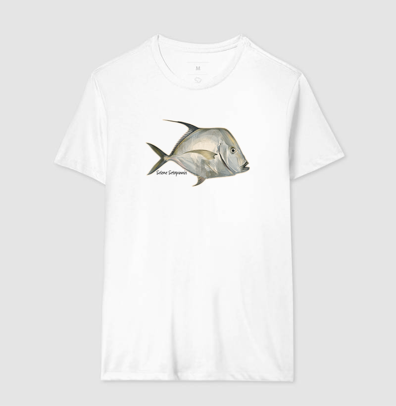 Peixe-Galo - Imagem 4