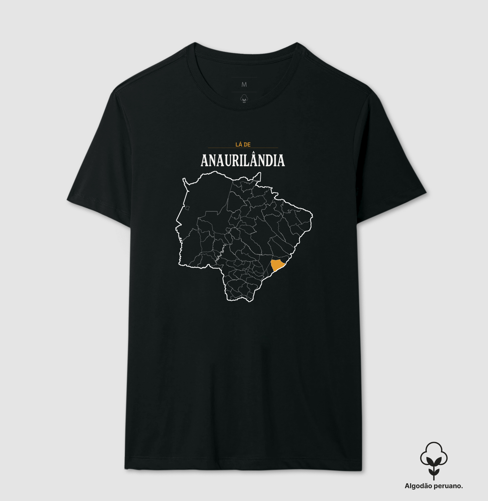 Anaurilândia | Território MS - Imagem 4
