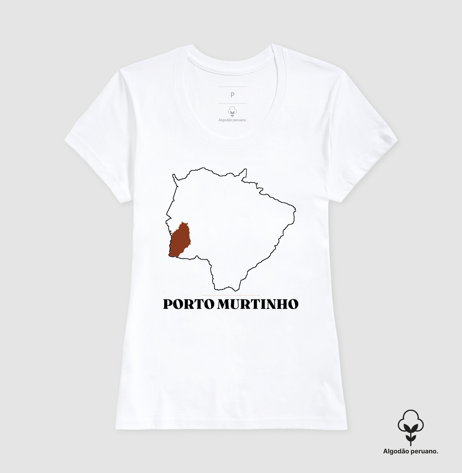 Porto Murtinho | Traço MS - Imagem 6