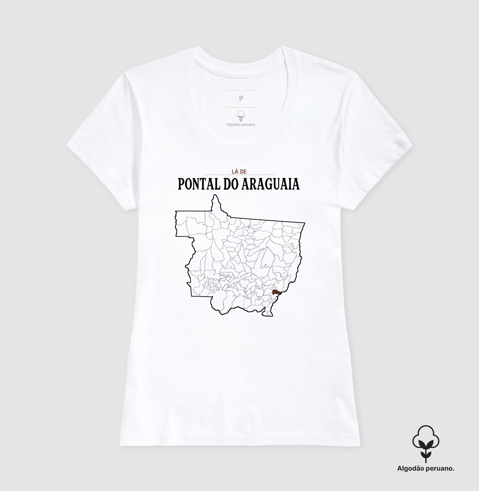 Pontal do Araguaia | Território MT - Imagem 6
