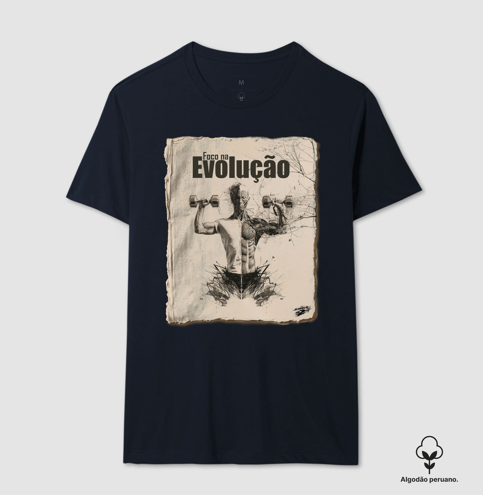 Foca na Evolução - Imagem 4