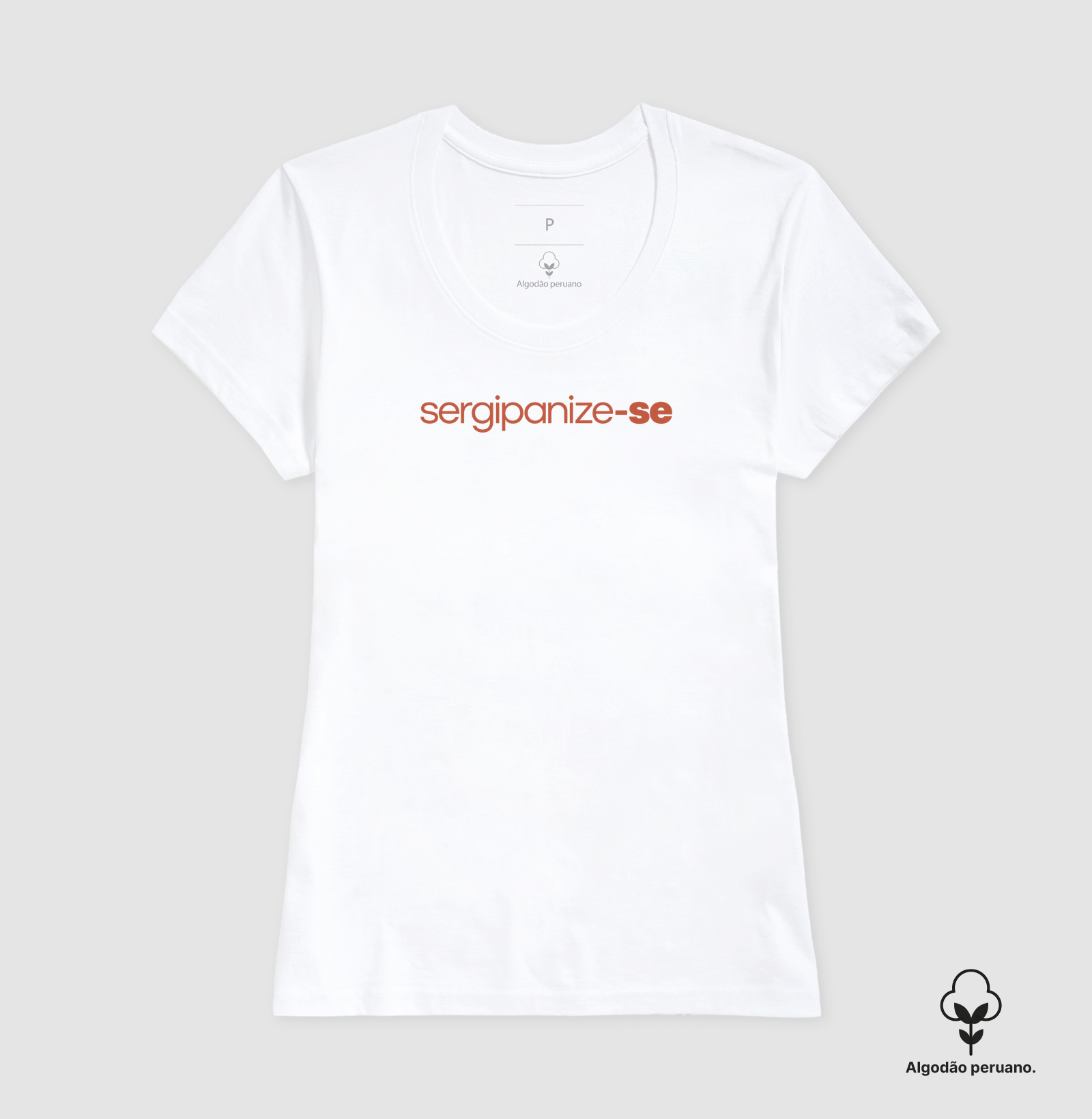 Sergipanize-se - Imagem 9