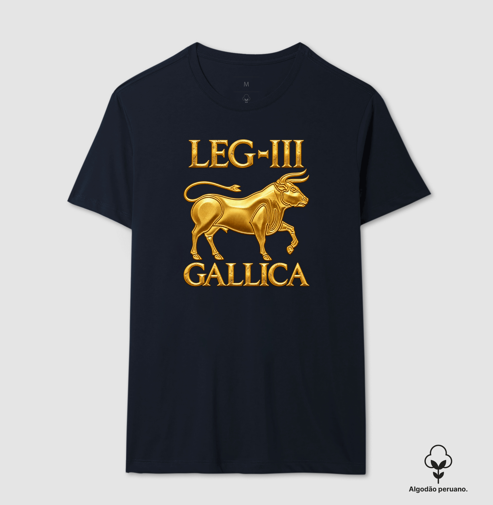 LEGIO — III Gallica - III - Imagem 4