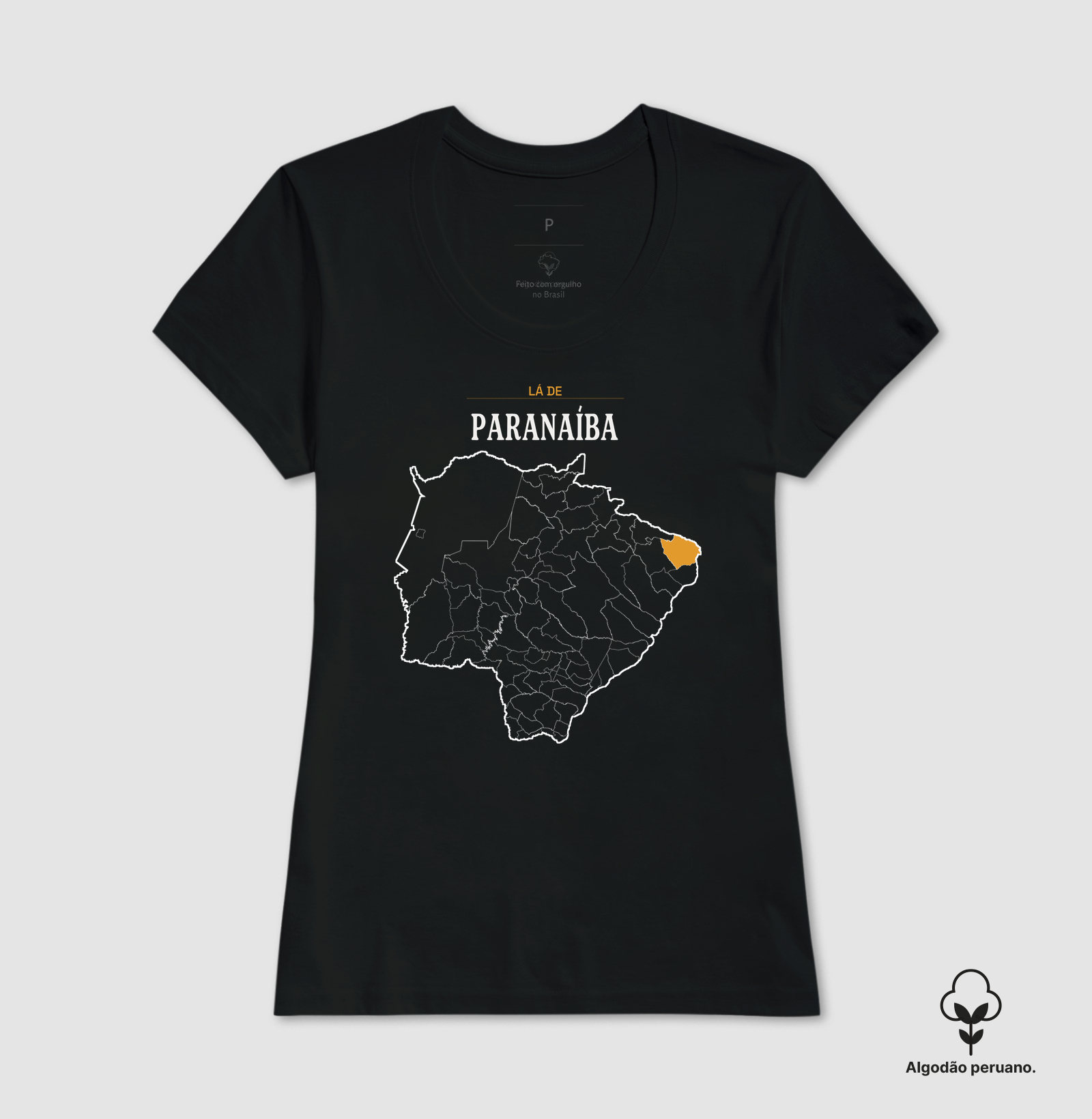 Paranaíba | Território MS - Imagem 5