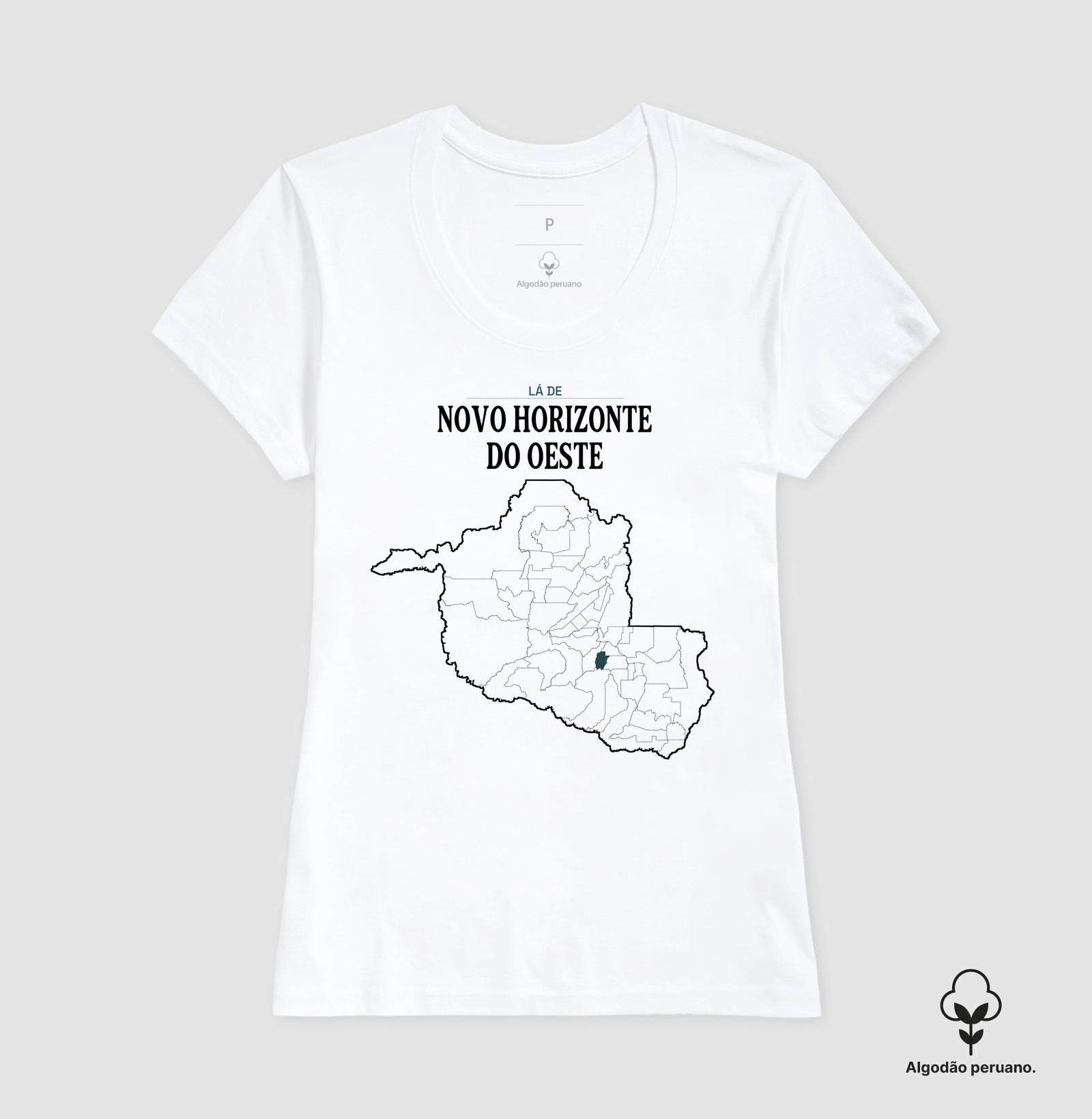 Novo Horizonte do Oeste | Território RO - Imagem 9
