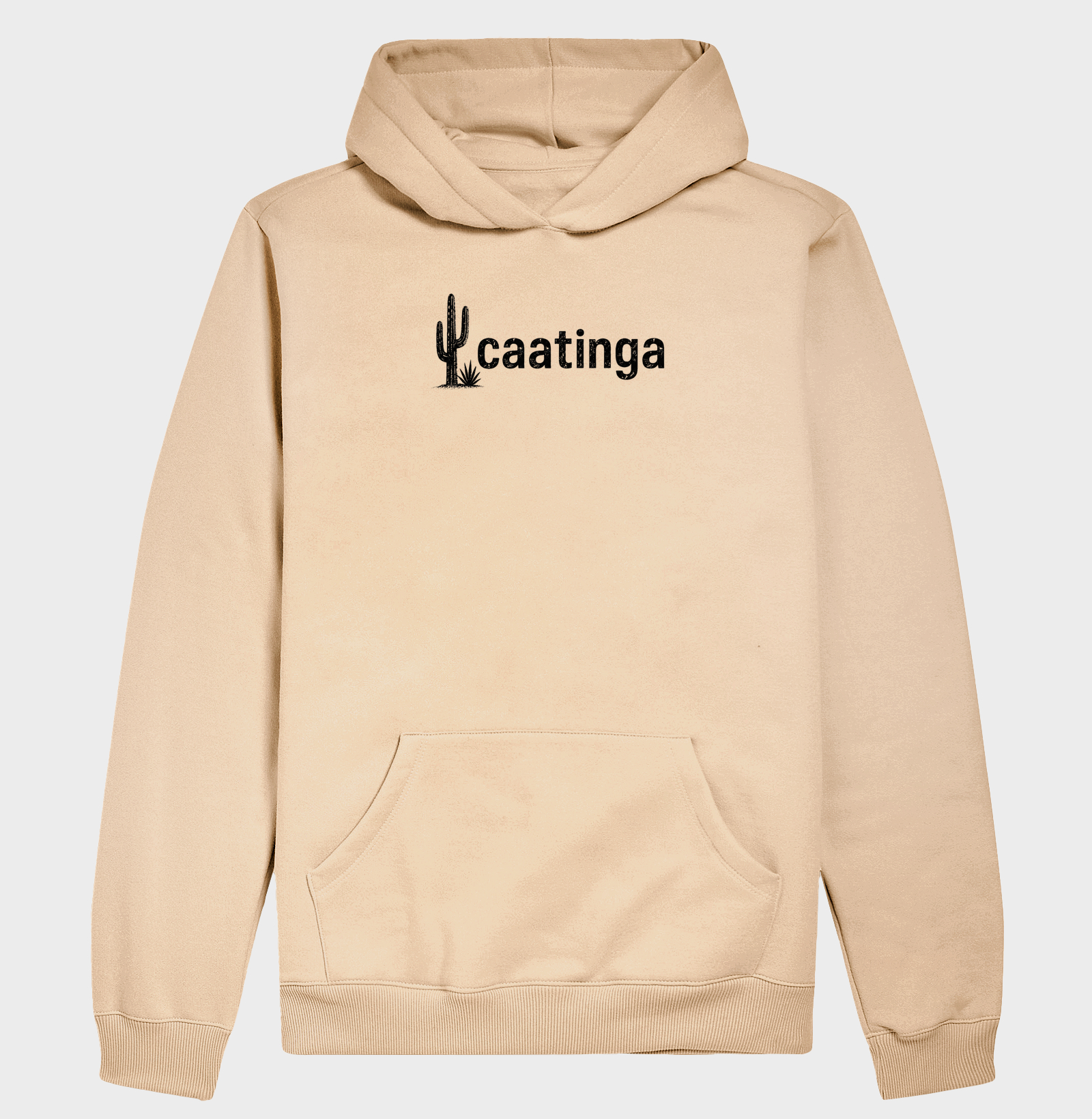 Caatinga - Imagem 5